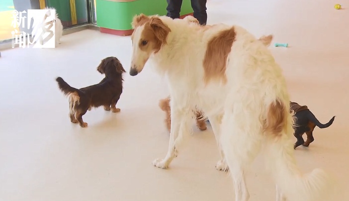 意外!上海男子直呼:比上班赚多了!但需警惕潜在风险→ 意外!上海男子直呼:比上班赚多了!但需警惕潜在风险→