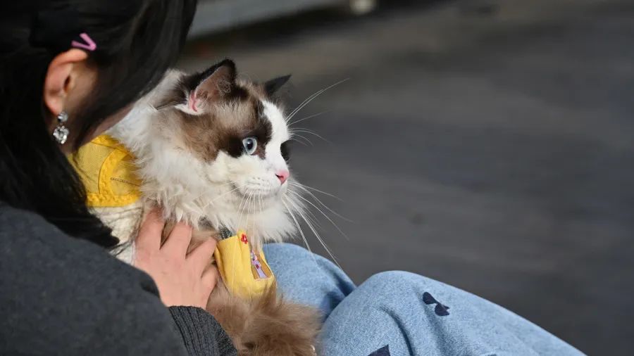 意外!上海男子直呼:比上班赚多了!但需警惕潜在风险→ 意外!上海男子直呼:比上班赚多了!但需警惕潜在风险→
