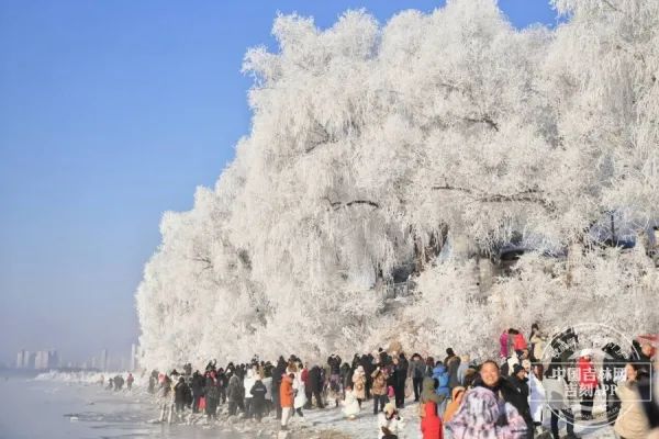 新发路观察+|吉林“冰雪+”文章,为啥越写越精彩? 新发路观察+|吉林“冰雪+”文章,为啥越写越精彩?