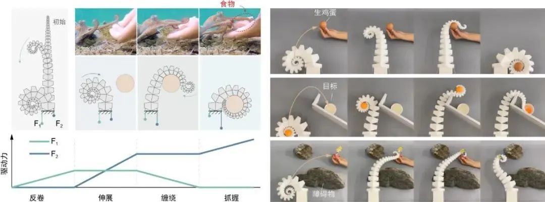 新型螺旋机器人，让“科幻走进现实”