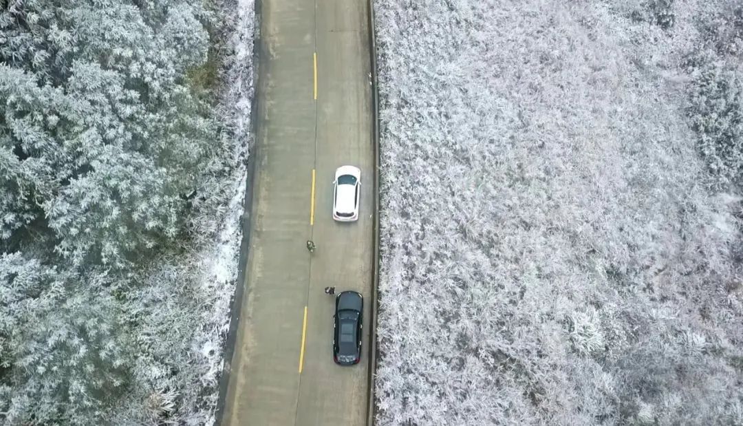 预警！寒潮来袭！大雾！道路结冰！广西多地最新发布