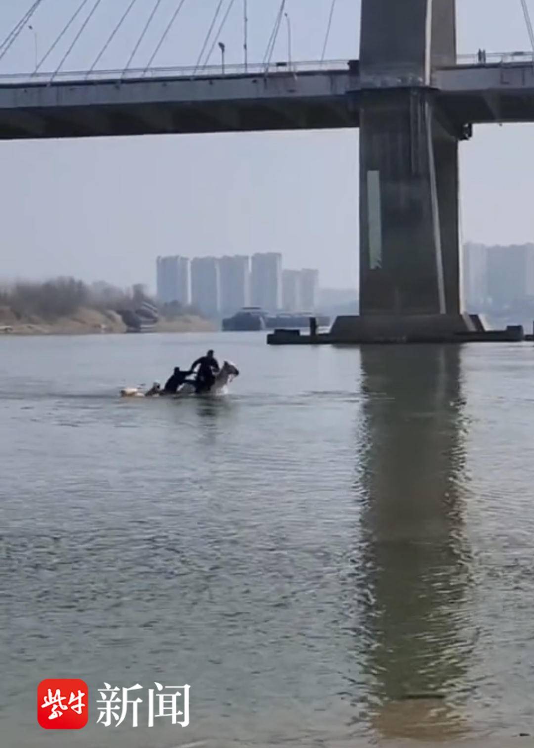 骑马救人新疆大哥等三人获见义勇为表彰,马儿也戴上大红花 骑马救人新疆大哥等三人获见义勇为表彰,马儿也戴上大红花