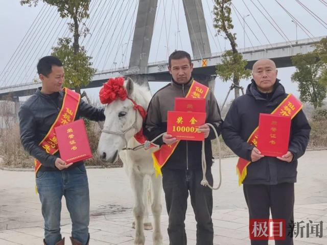 听劝！白龙（7岁，已退烧），佩戴大红花，全市表彰！