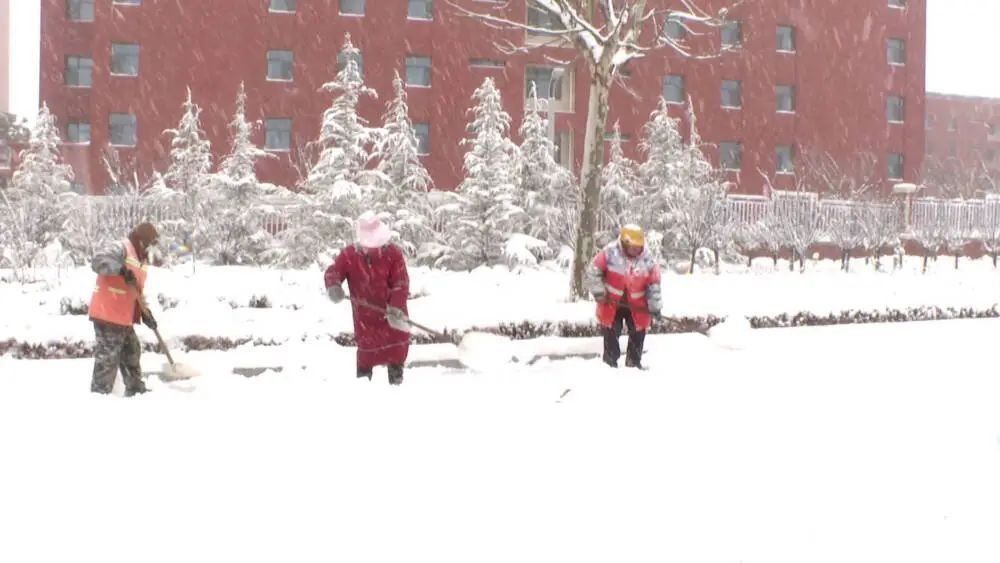 有较强冷流降雪，最低零下15℃！山东三预警齐发
