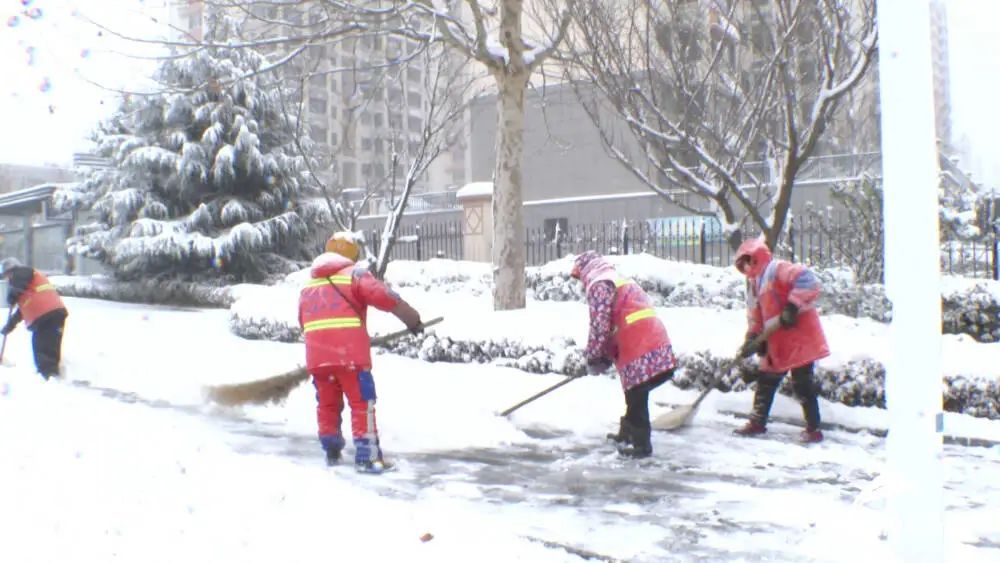 有较强冷流降雪，最低零下15℃！山东三预警齐发