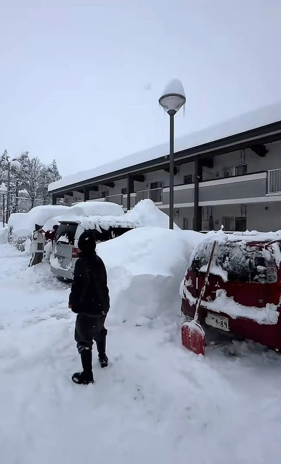 已致1死4伤！日本遭遇“灾害级”大雪！滑雪场缆车停运，上百游客排长队艰难前行