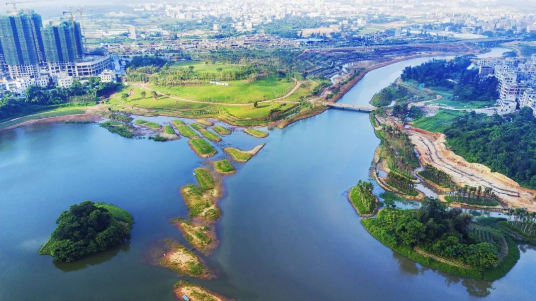 【2025年2月2日】第29个世界湿地日--主题为：保护湿地 共筑未来