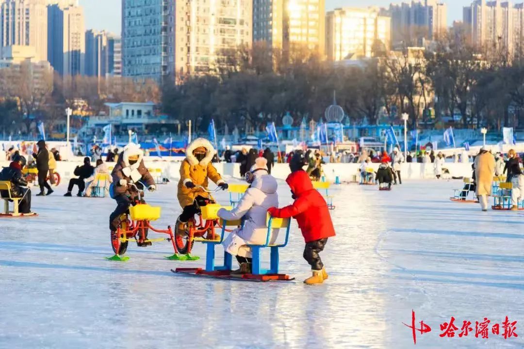 氛围拉满，人气火爆！哈尔滨这几大景区8天接待游客 123.32 万人次
