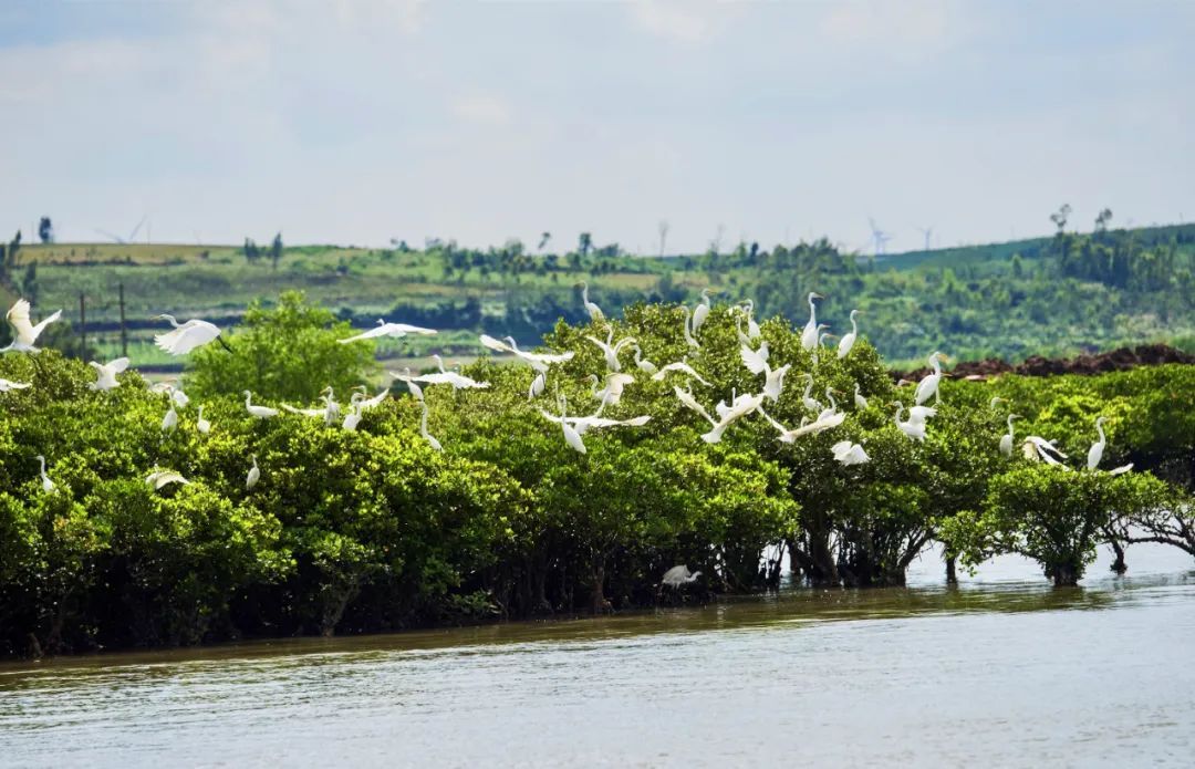 【2025年2月2日】第29个世界湿地日--主题为：保护湿地 共筑未来