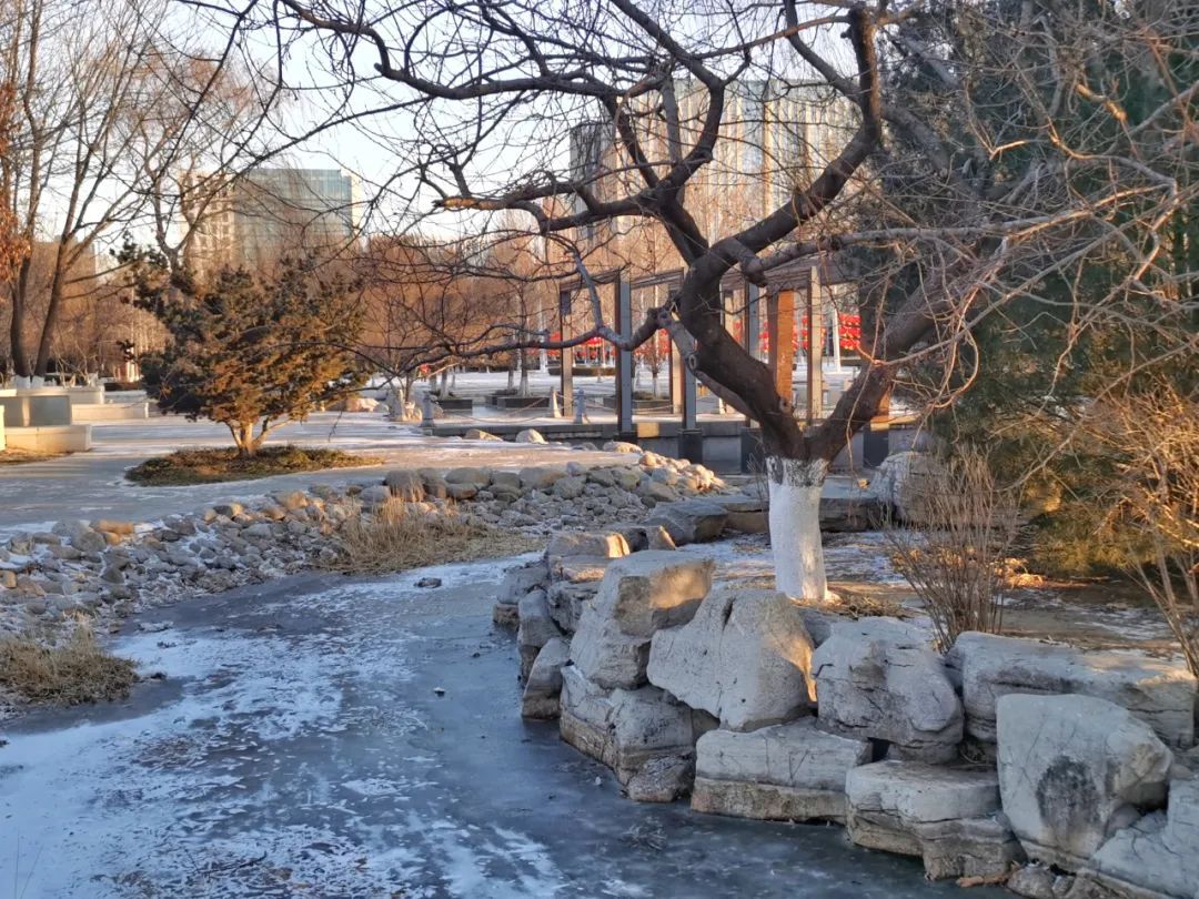 潍坊多地出现降雪!三预警齐发 潍坊多地出现降雪!三预警齐发