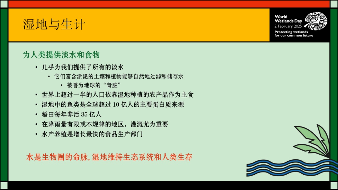 【2025年2月2日】第29个世界湿地日--主题为：保护湿地 共筑未来