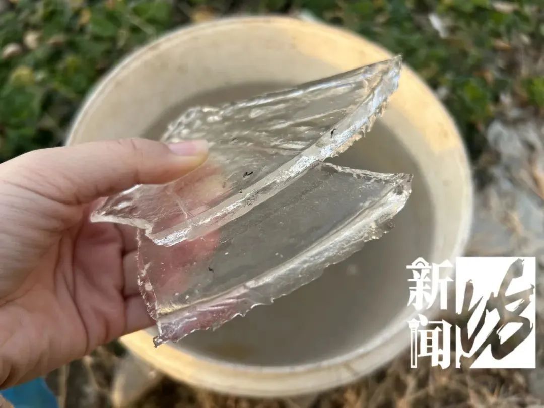 即将跌至-8℃！上海进入“速冻”模式，体感更冷……网友：今天的风像是哪吒被下穿心咒