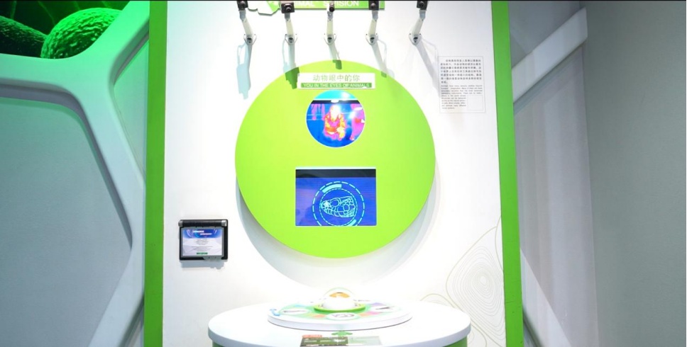 蛇年好奇问!蛇眼中的世界是什么样的? 蛇年好奇问!蛇眼中的世界是什么样的?