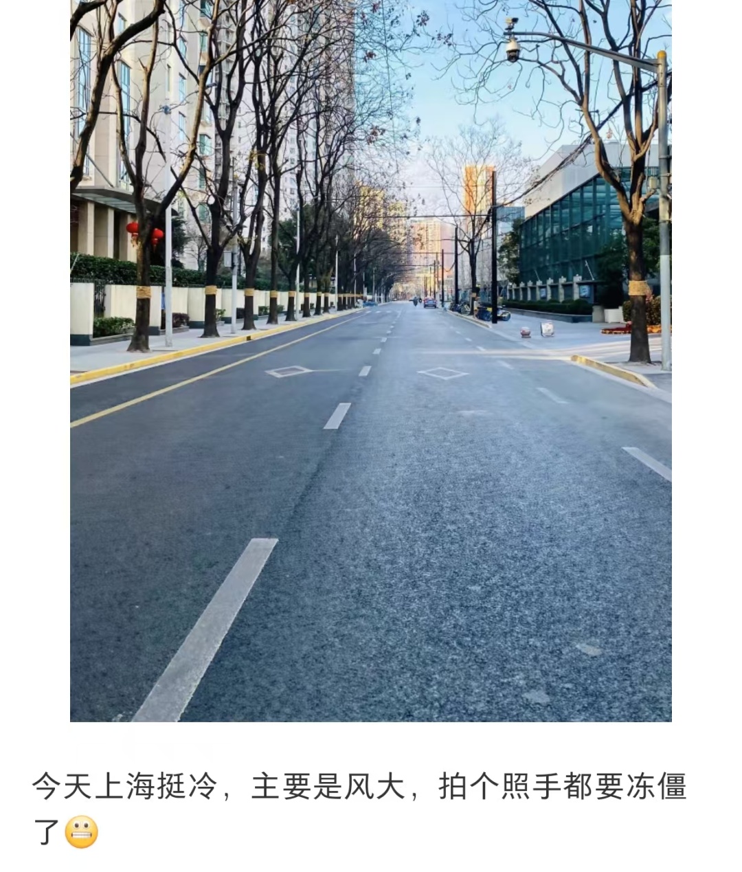 即将跌至-8℃！上海进入“速冻”模式，体感更冷……网友：今天的风像是哪吒被下穿心咒