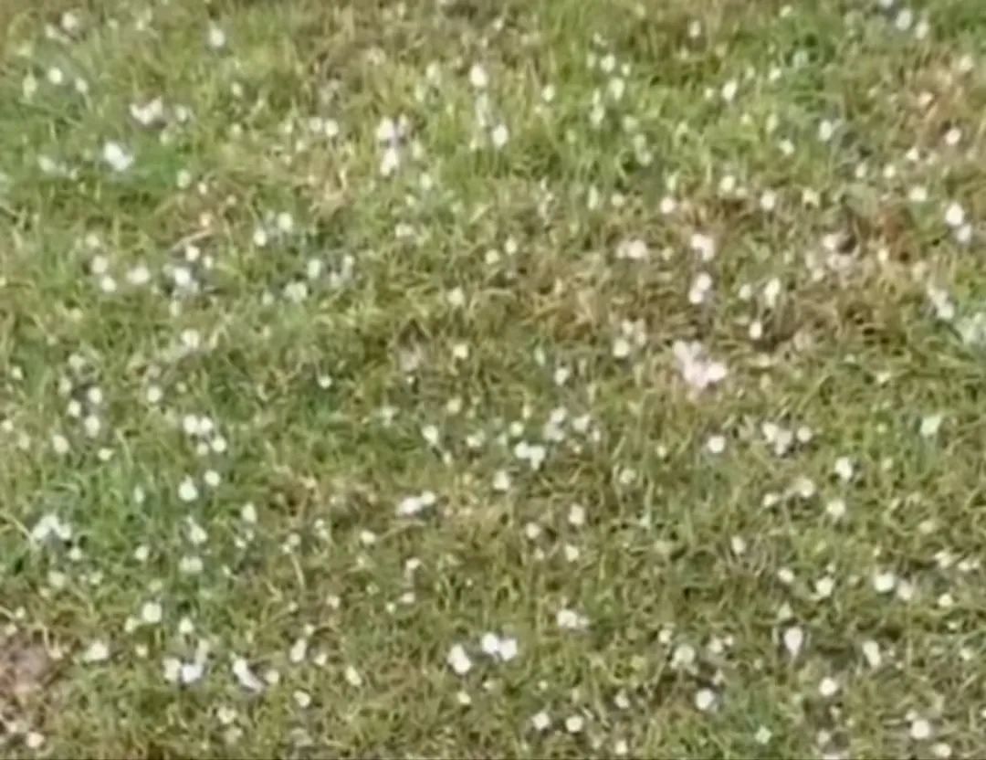 报！成都这些地方明天可能要下雪