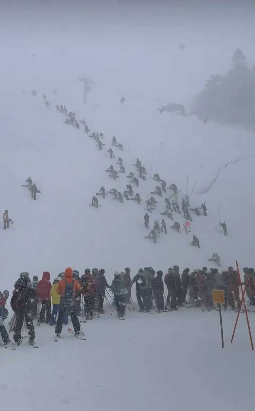 已致1死4伤,日本遭遇“灾害级”大雪,数十架次航班取消 已致1死4伤,日本遭遇“灾害级”大雪,数十架次航班取消