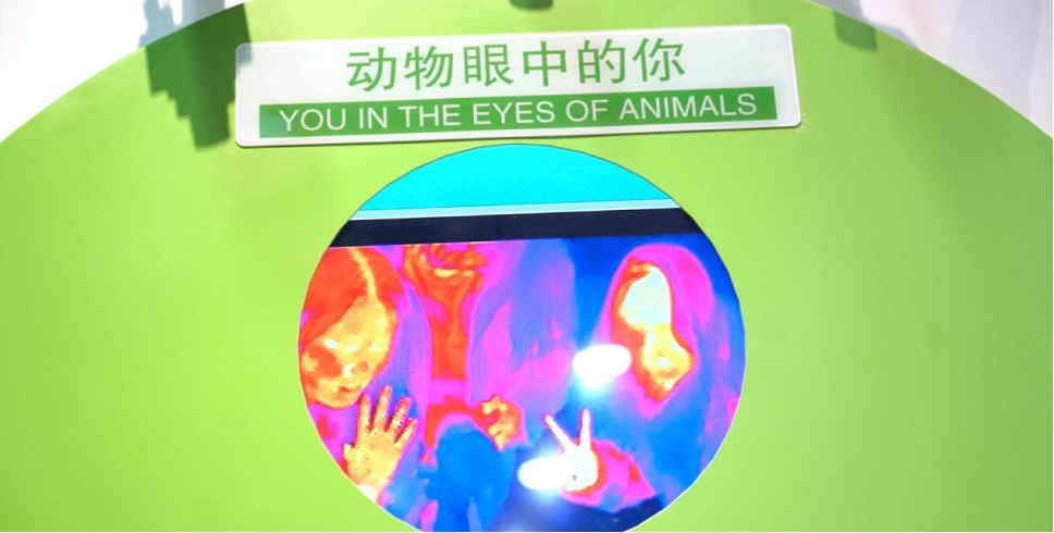 蛇年好奇问!蛇眼中的世界是什么样的? 蛇年好奇问!蛇眼中的世界是什么样的?