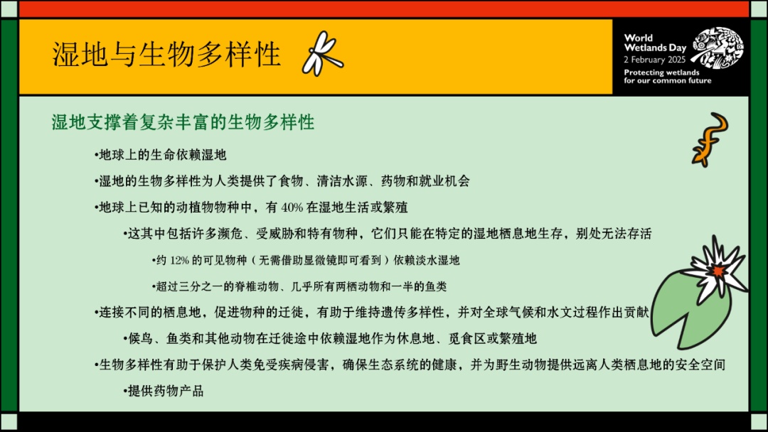 【2025年2月2日】第29个世界湿地日--主题为：保护湿地 共筑未来