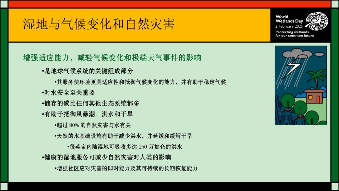【2025年2月2日】第29个世界湿地日--主题为：保护湿地 共筑未来