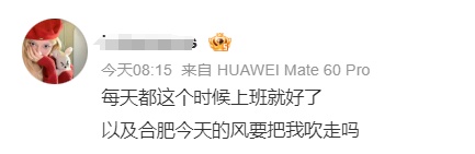 “合肥好大的风!” 安徽经历今冬罕见“冰日” “合肥好大的风!” 安徽经历今冬罕见“冰日”