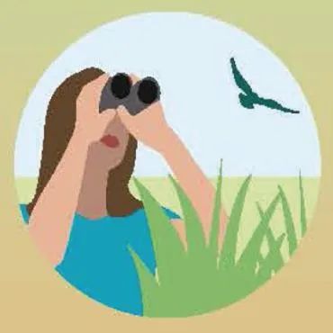 【2025年2月2日】第29个世界湿地日--主题为：保护湿地 共筑未来