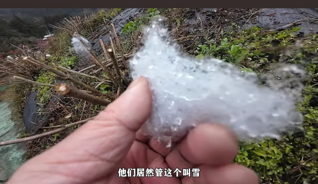 棉花当雪、肥皂水“降雪”...成都高仿“雪村”引争议！景区回应
