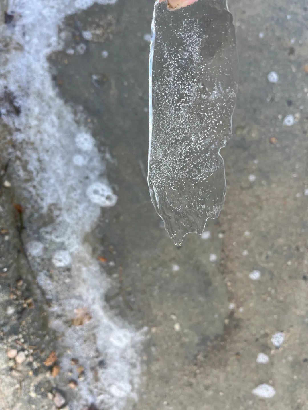 最低至-11.1℃！网友说：合肥，你冷得让我好陌生