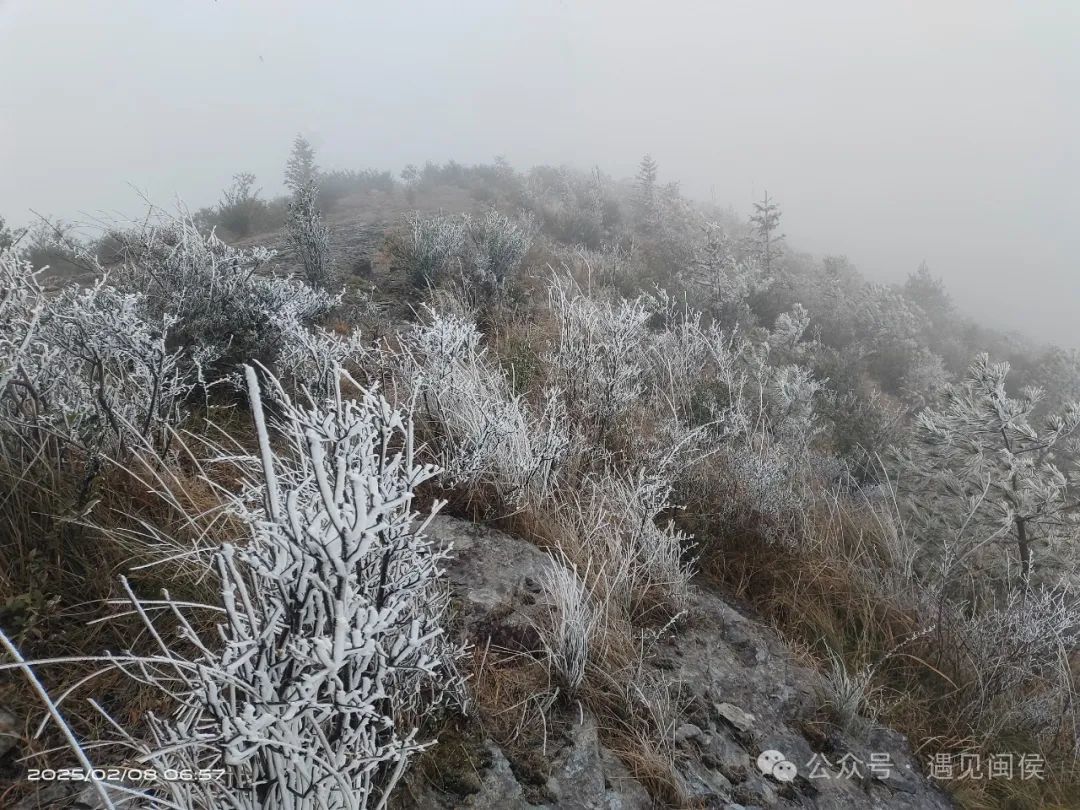 最低-8℃！绝美雾凇再次上线！福建回暖时间在……