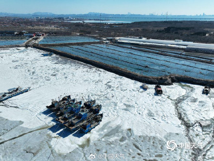 青岛胶州湾海面冻出潮汐树