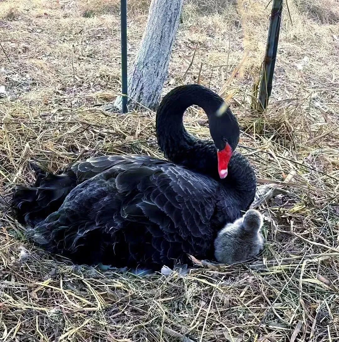 合肥一高校传来喜讯 合肥一高校传来喜讯