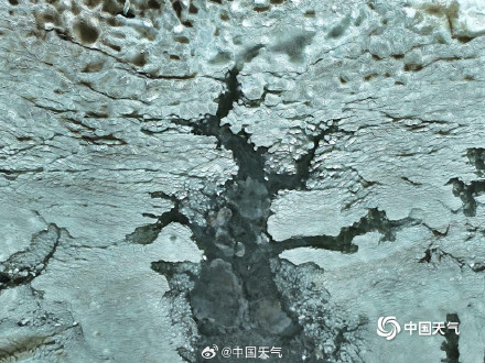 青岛胶州湾海面冻出潮汐树