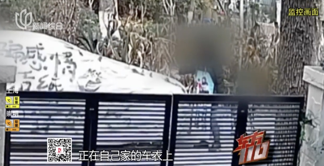 冲上热搜！夫妻丁克婚姻20年，丈夫竟和别人有了孩子？