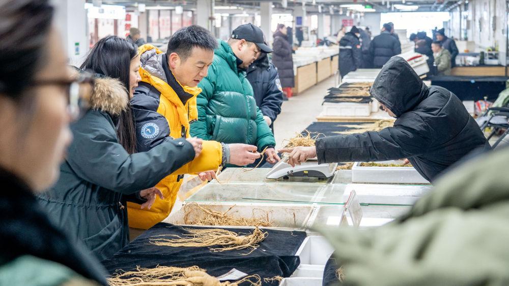 吉林：开工忙起来 发展热腾腾