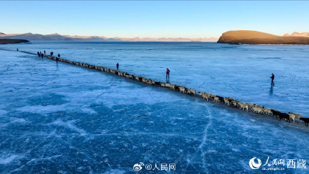 普莫雍错冰上赶羊高清壁纸