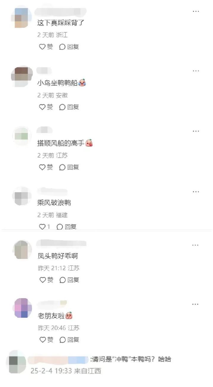 “鸡同鸭桨”！快看玄武湖上，这是什么造型啊？