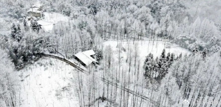 成都不语只是一味偷偷下雪