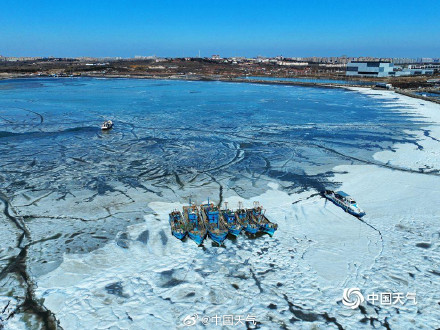 青岛胶州湾海面冻出潮汐树