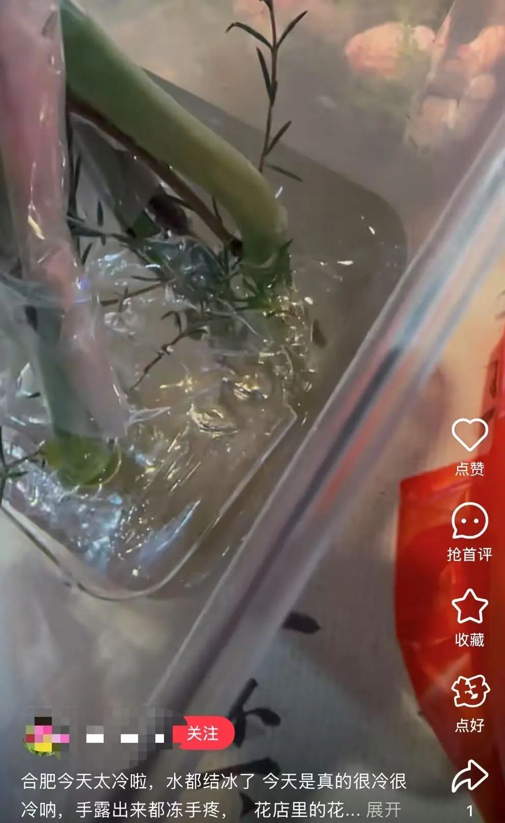 最低至-11.1℃！网友说：合肥，你冷得让我好陌生