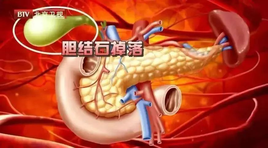 什么!睡太久也有危害? 什么!睡太久也有危害?