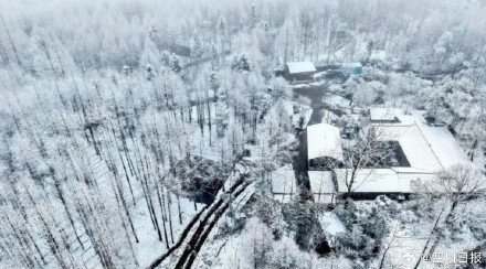 成都不语只是一味偷偷下雪