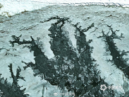 青岛胶州湾海面冻出潮汐树