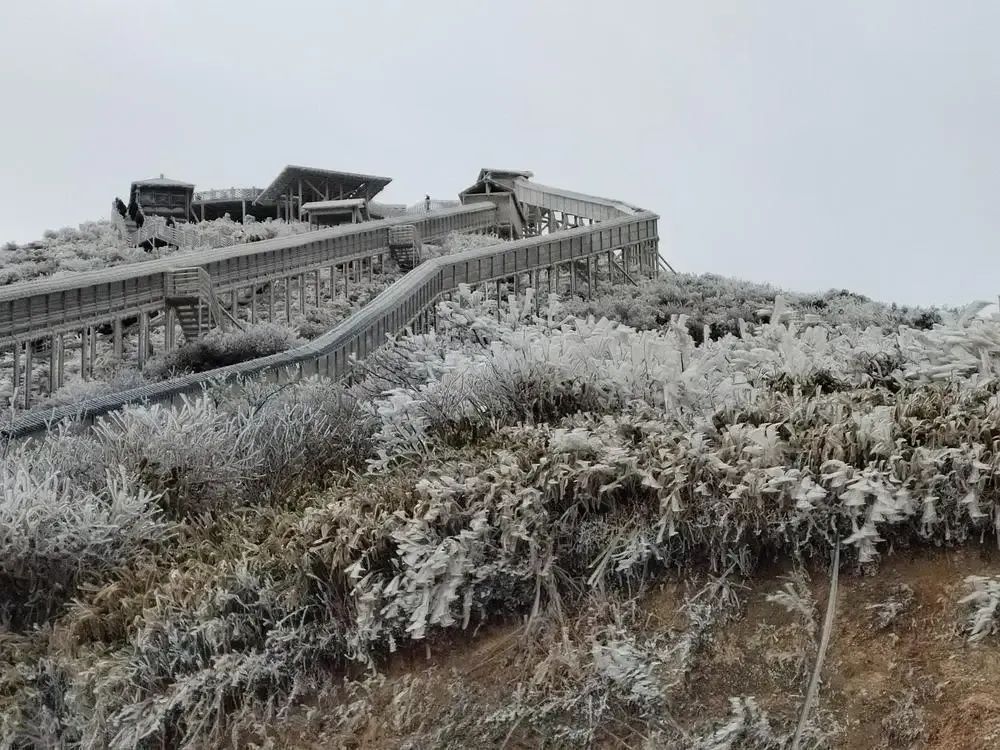 广东“下雪”了？粤北冷出了雾凇冰挂，广州明晨或迎6℃低温