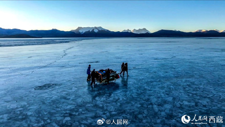 普莫雍错冰上赶羊高清壁纸