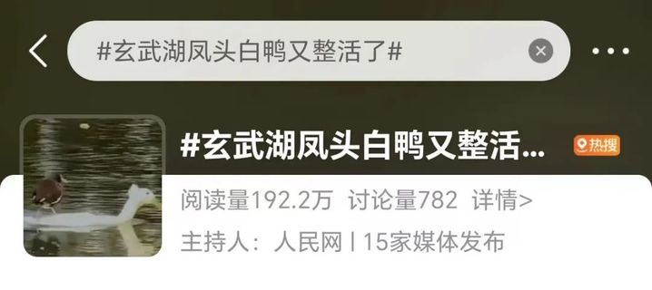 “鸡同鸭桨”！快看玄武湖上，这是什么造型啊？