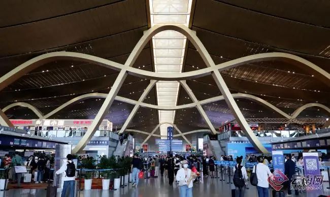 价格“大跳水”！有人3天立省7000元，网友：心动了