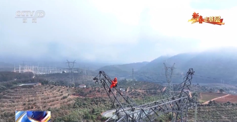 新春走基层丨他们是守护万家灯火的雨林“蜘蛛人”