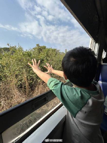 从新加坡坐12天火车回成都啥体验 ？当事人：一家三口都喜欢