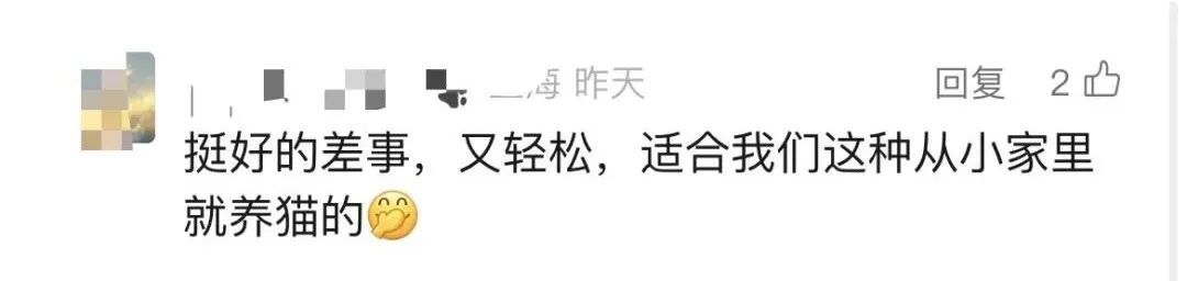 天河、番禺、海珠，最忙“一天跑了21家”，这个春节，大学生喂猫“10天赚了1万多