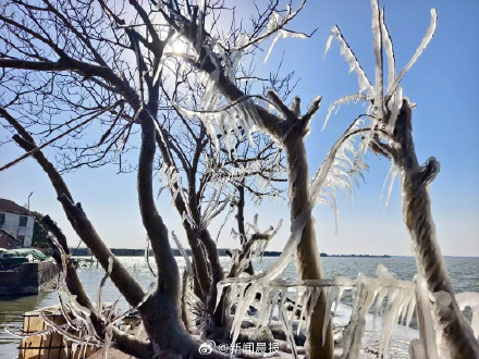 上海淀山湖畔现冰凌奇观