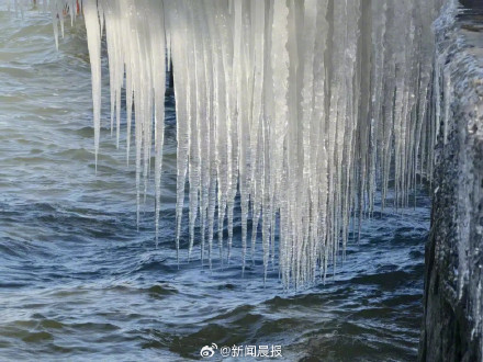 上海淀山湖畔现冰凌奇观